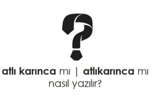 atlı karınca nasıl yazılır?