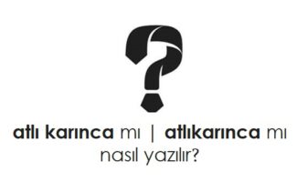 atlı karınca nasıl yazılır?