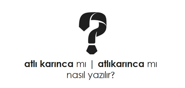 atlı karınca nasıl yazılır?