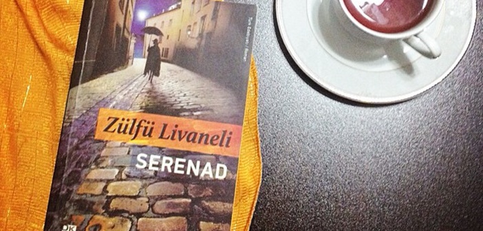 Zülfü Livaneli Serenad Sözleri